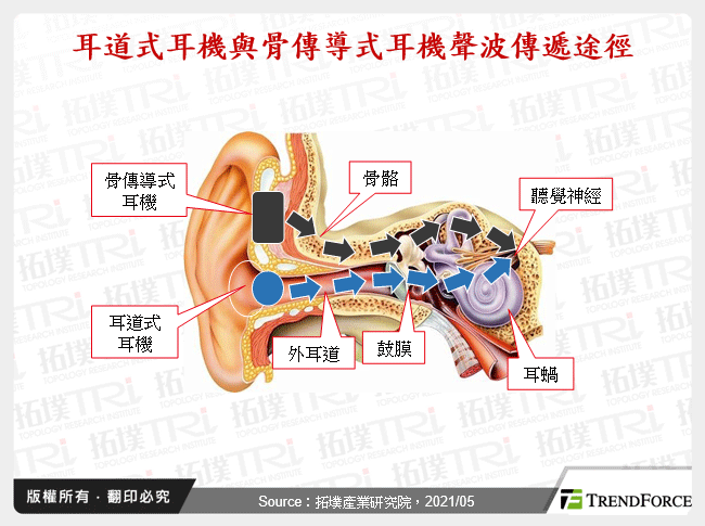 耳道式耳機與骨傳導式耳機聲波傳遞途徑