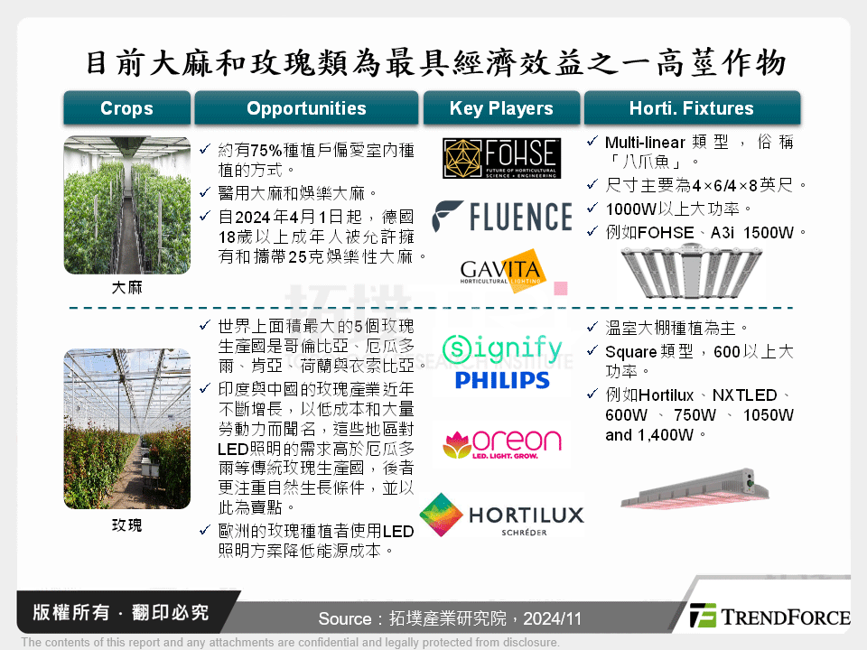 目前大麻和玫瑰類為最具經濟效益之一高莖作物