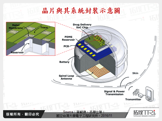 晶片與其系統封裝示意圖