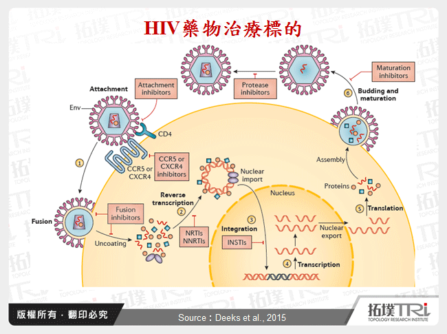 HIV藥物治療標的