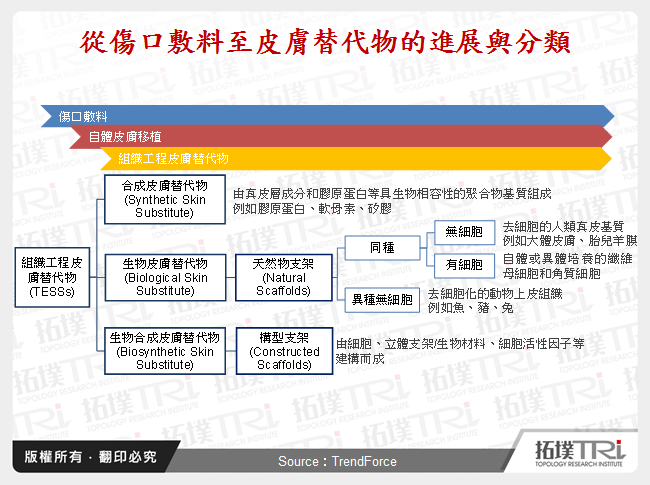 從傷口敷料至皮膚替代物的進展與分類