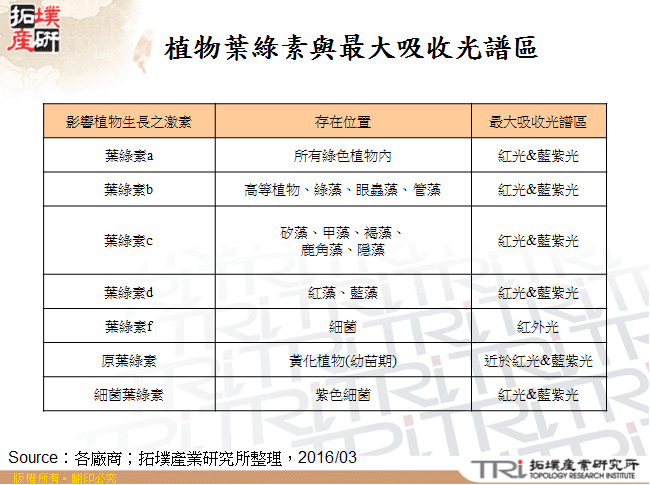 植物葉綠素與最大吸收光譜區