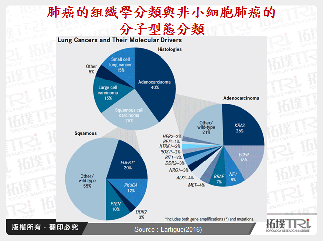 肺癌的組織學分類與非小細胞肺癌的分子型態分類