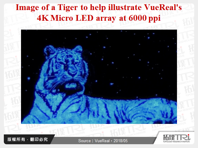 Image of a Tiger to help illustrate VueReal's 4K Micro LED array at 6000 ppi