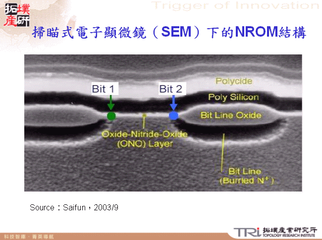 掃瞄式電子顯微鏡（SEM）下的NROM結構